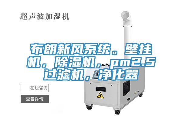 布朗新風係統。壁掛機，91看片软件大全，pm2.5過濾機，淨化器
