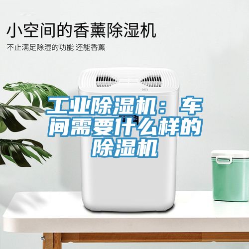 工業91看片软件大全：車間需要什麽樣的91看片软件大全