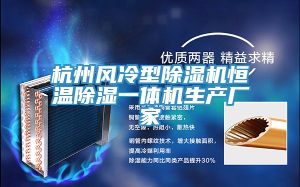 杭州風冷型91看片软件大全恒溫除濕一體機生產廠家