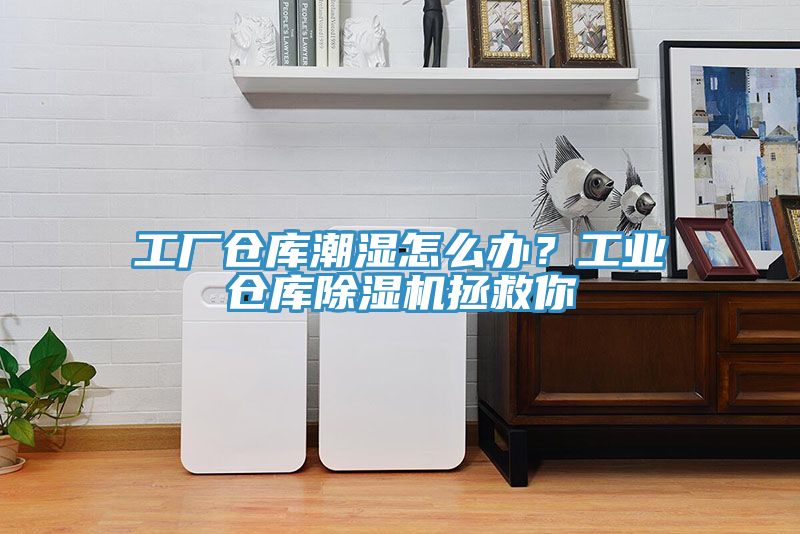 工廠倉庫潮濕怎麽辦？工業倉庫91看片软件大全拯救你