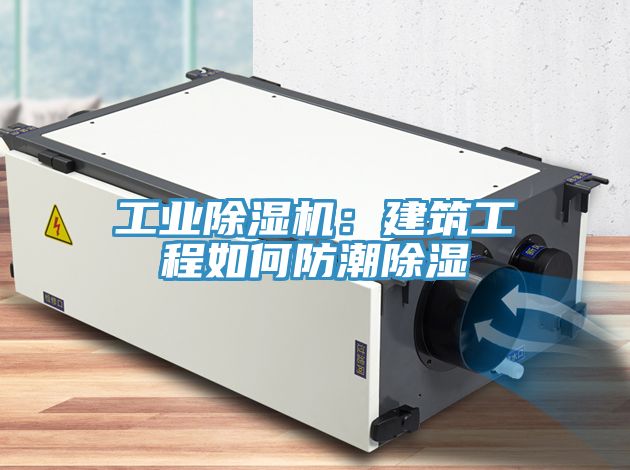 工業91看片软件大全：建築工程如何防潮除濕