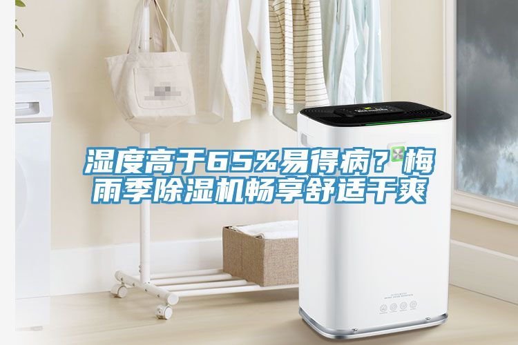 濕度高於65%易得病？梅雨季91看片软件大全暢享舒適幹爽