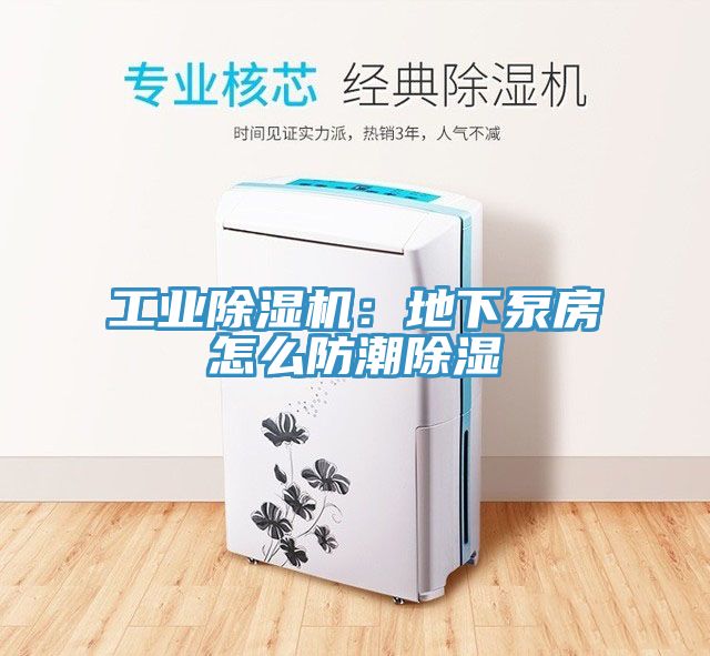 工業91看片软件大全：地下泵房怎麽防潮除濕