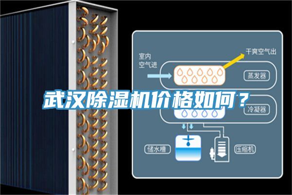 武漢91看片软件大全價格如何？
