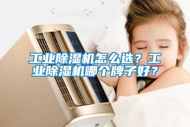 工業91看片软件大全怎麽選？工業91看片软件大全哪個牌子好？