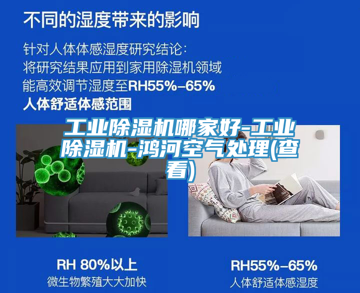 工業91看片软件大全哪家好-工業91看片软件大全-鴻河空氣處理(查看)