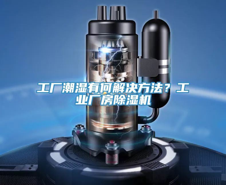 工廠潮濕有何解決方法？工業廠房91看片软件大全
