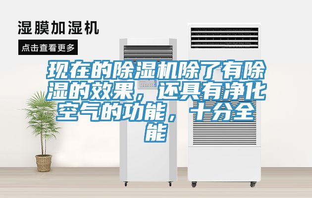 現在的91看片软件大全除了有除濕的效果，還具有淨化空氣的功能，十分全能