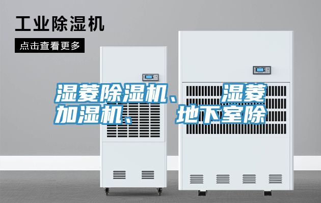 濕菱91看片软件大全、  濕菱加濕機、  地下室除