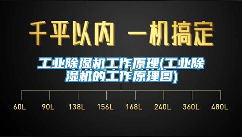 工業91看片软件大全工作原理(工業91看片软件大全的工作原理圖)