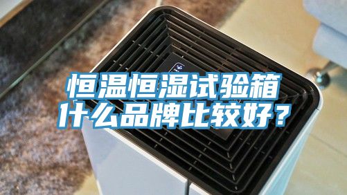 恒溫恒濕試驗箱什麽品牌比較好？