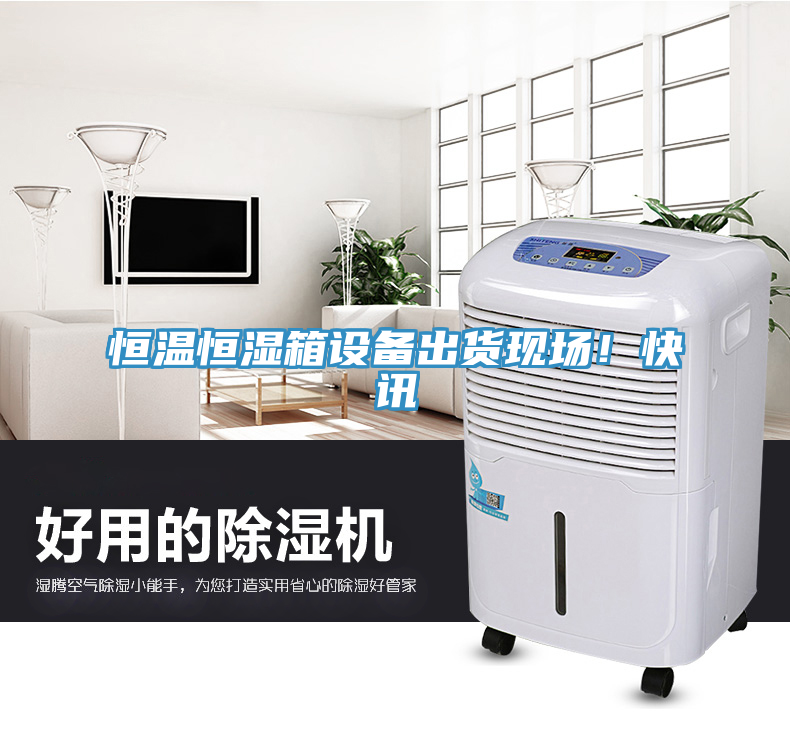 恒溫恒濕箱設備出貨現場！快訊