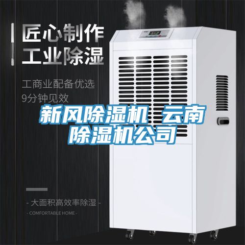 新風91看片软件大全 雲南91看片软件大全公司