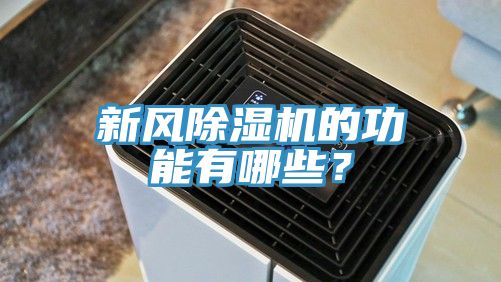 新風91看片软件大全的功能有哪些？