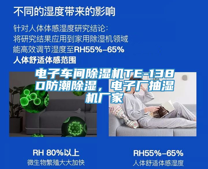 電子車間91看片软件大全TE-138D防潮除濕，電子廠抽濕機廠家