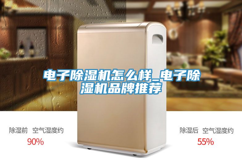 電子91看片软件大全怎麽樣_電子91看片软件大全品牌推薦