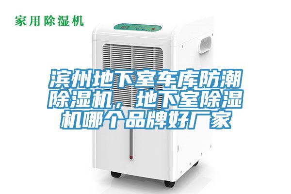 濱州地下室車庫防潮91看片软件大全，地下室91看片软件大全哪個品牌好廠家
