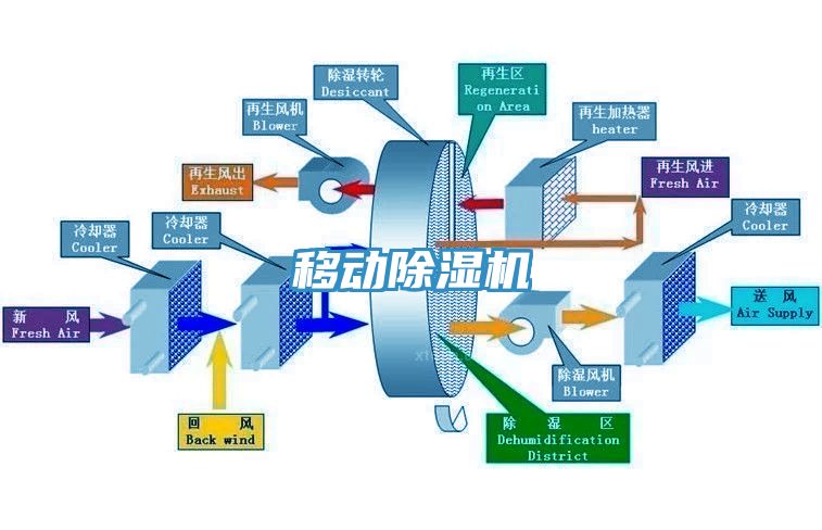 移動91看片软件大全