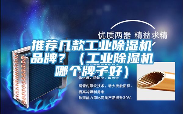推薦幾款工業91看片软件大全品牌？（工業91看片软件大全哪個牌子好）