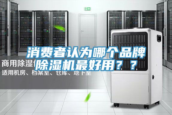 消費者認為哪個品牌91看片软件大全最好用？？