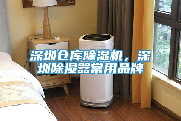 深圳倉庫91看片软件大全，深圳除濕器常用品牌