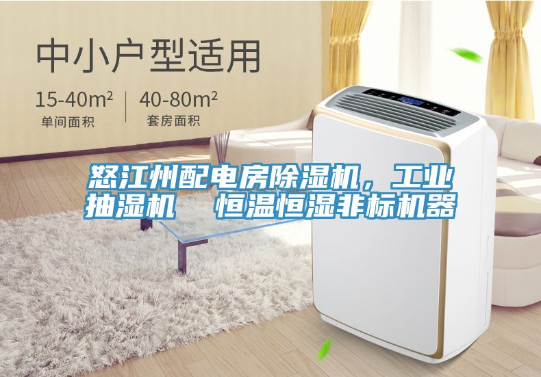 怒江州配電房91看片软件大全，工業抽濕機  恒溫恒濕非標機器