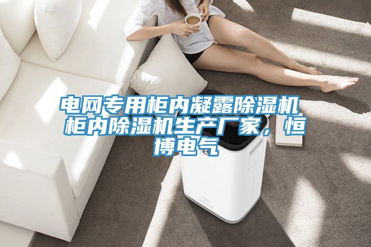 電網專用櫃內凝露91看片软件大全 櫃內91看片软件大全生產廠家，恒博電氣