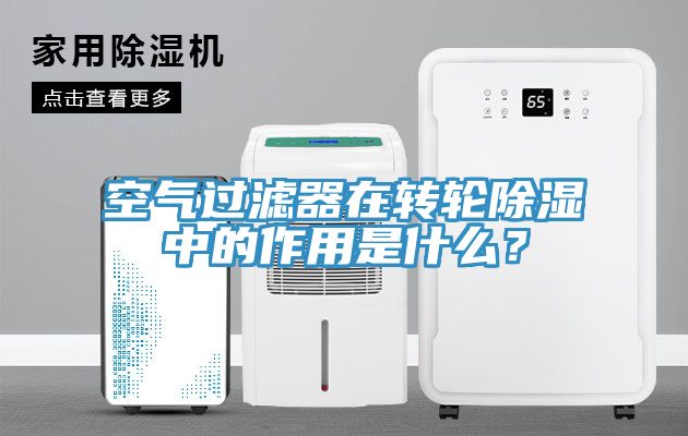空氣過濾器在轉輪除濕中的作用是什麽？
