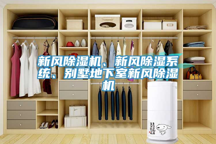 新風91看片软件大全、新風除濕係統、別墅地下室新風91看片软件大全