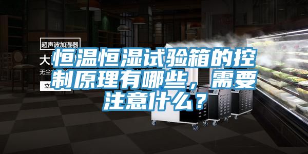 恒溫恒濕試驗箱的控製原理有哪些，需要注意什麽？