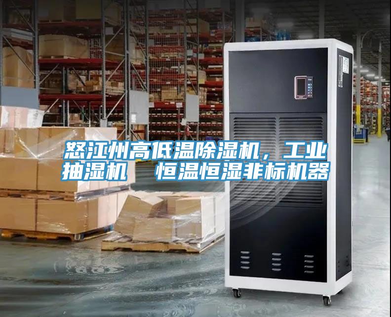 怒江州高低溫91看片软件大全，工業抽濕機  恒溫恒濕非標機器