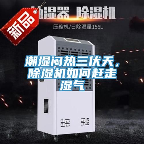 潮濕悶熱三伏天，91看片软件大全如何趕走濕氣