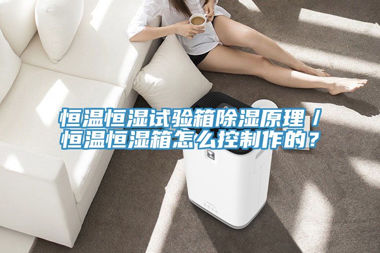 恒溫恒濕試驗箱除濕原理／恒溫恒濕箱怎麽控製作的？