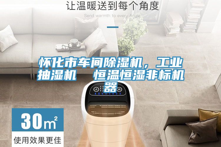 懷化市車間91看片软件大全，工業抽濕機  恒溫恒濕非標機器