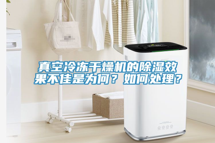 真空冷凍幹燥機的除濕效果不佳是為何？如何處理？