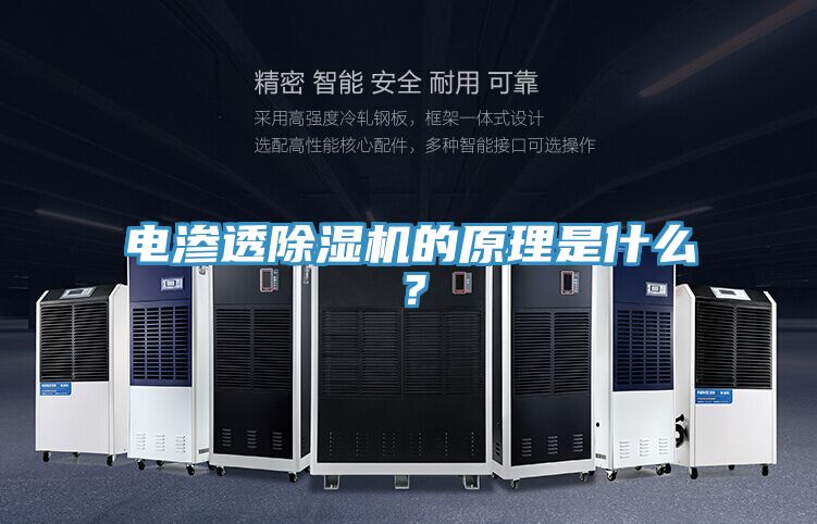 電滲透91看片软件大全的原理是什麽？