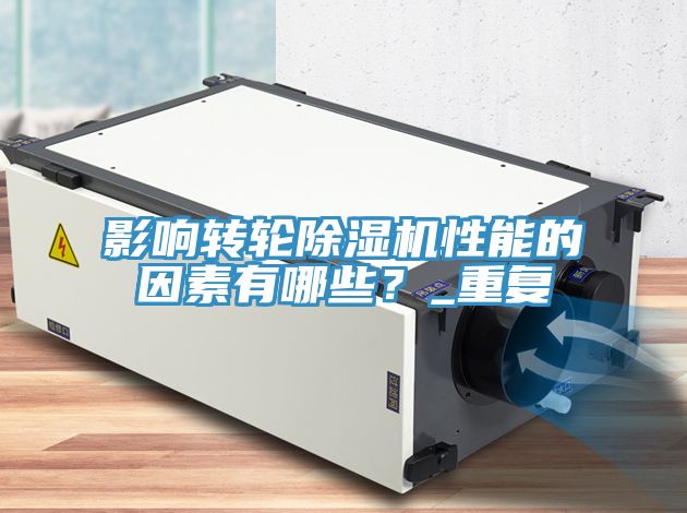 影響轉輪91看片软件大全性能的因素有哪些？_重複