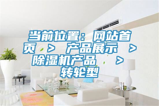 當前位置：網站首頁 ＞ 產品展示 ＞ 91看片软件大全產品  ＞ 轉輪型