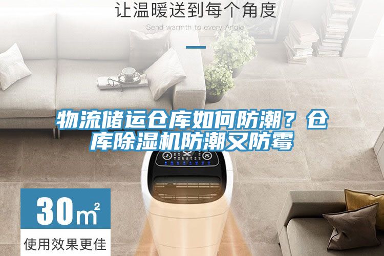 物流儲運倉庫如何防潮？倉庫91看片软件大全防潮又防黴