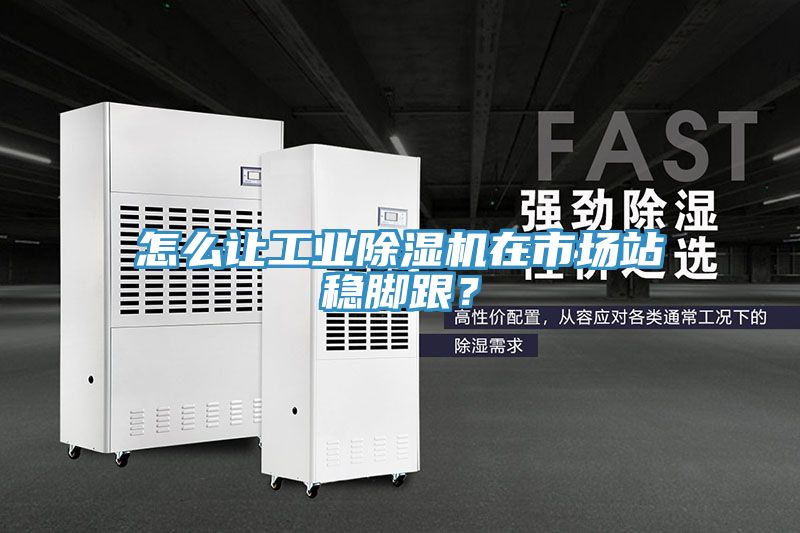 怎麽讓工業91看片软件大全在市場站穩腳跟？