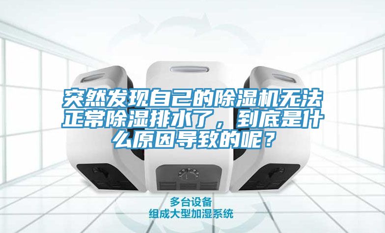 突然發現自己的91看片软件大全無法正常除濕排水了，到底是什麽原因導致的呢？