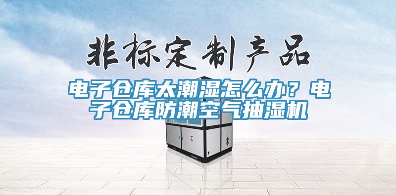 電子倉庫太潮濕怎麽辦？電子倉庫防潮空氣抽濕機