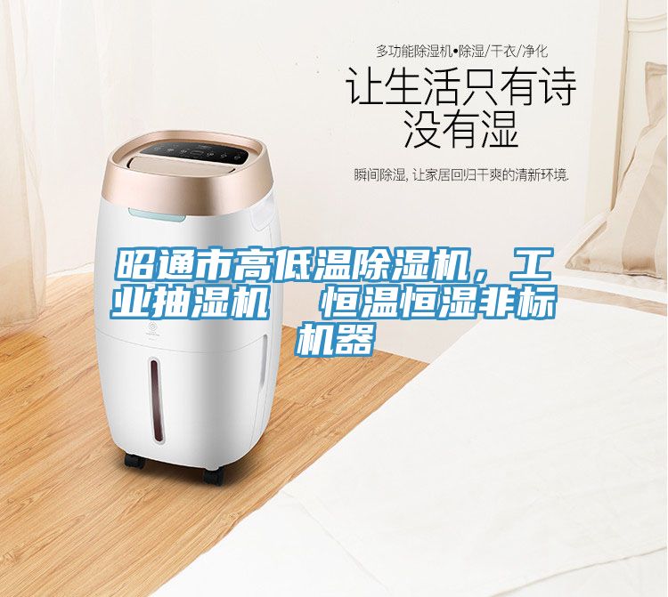 昭通市高低溫91看片软件大全，工業抽濕機  恒溫恒濕非標機器