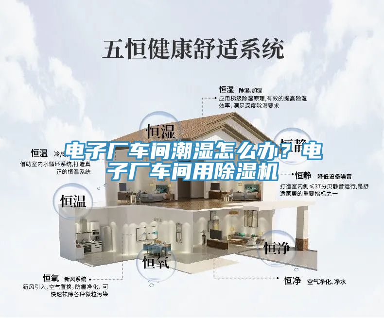 電子廠車間潮濕怎麽辦？電子廠車間用91看片软件大全