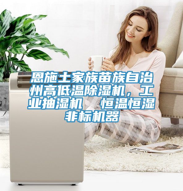 恩施土家族苗族自治州高低溫91看片软件大全，工業抽濕機  恒溫恒濕非標機器