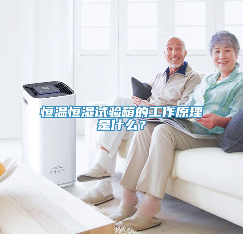 恒溫恒濕試驗箱的工作原理是什麽？