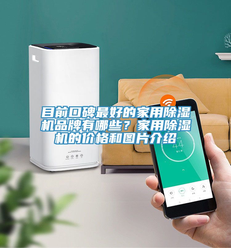 目前口碑最好的家用91看片软件大全品牌有哪些？家用91看片软件大全的價格和圖片介紹