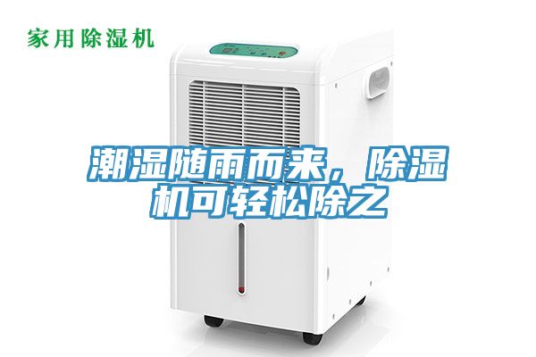 潮濕隨雨而來，91看片软件大全可輕鬆除之
