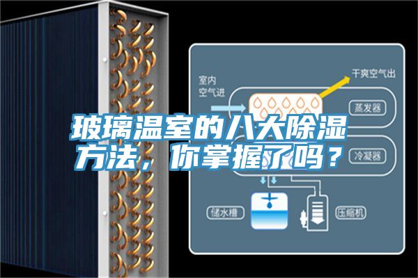 玻璃溫室的八大除濕方法，你掌握了嗎？