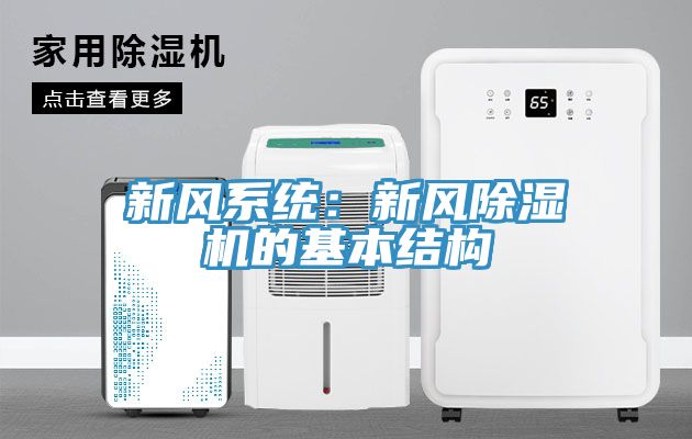 新風係統：新風91看片软件大全的基本結構